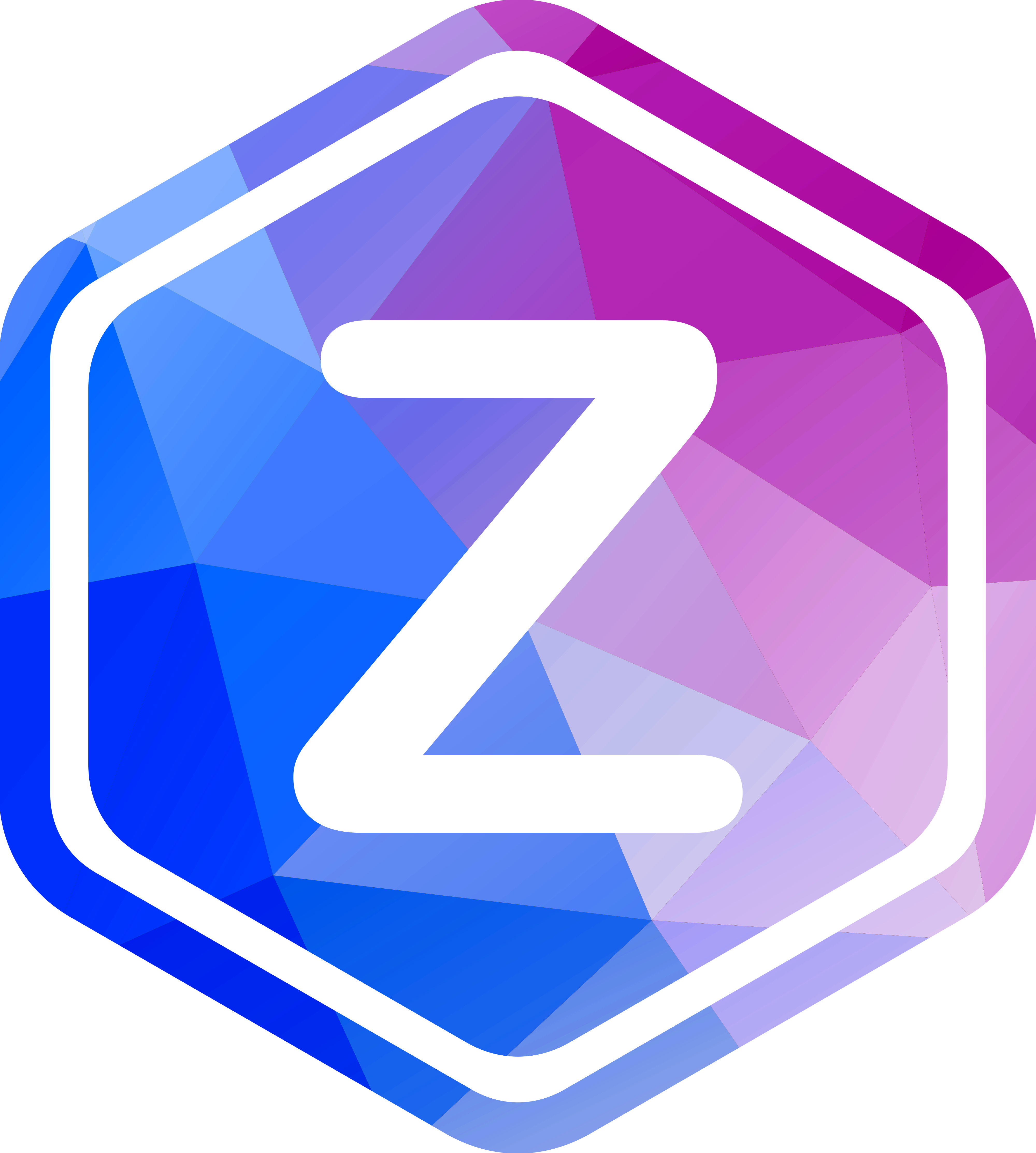Zooky Technology Icon